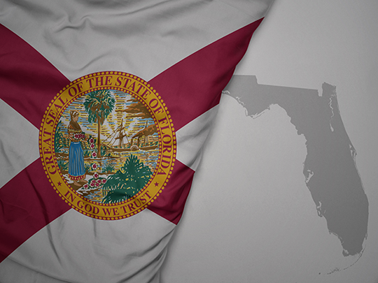 Florida Certificate of Status